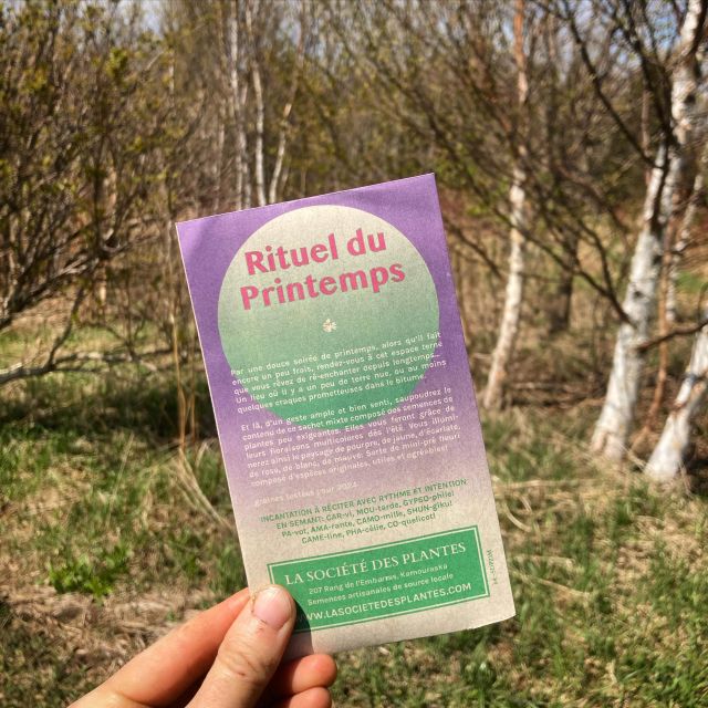 Jour -4 avant l’ouverture du kiosque : rituel du printemps proposé par @la_societe_des_plantes ✔️🌱

#semis #semences #bio #rituel #printemps #plantes  #microferme #fleurir